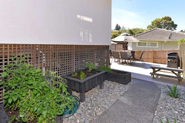 2/4 Ulster Street Wakatu_9