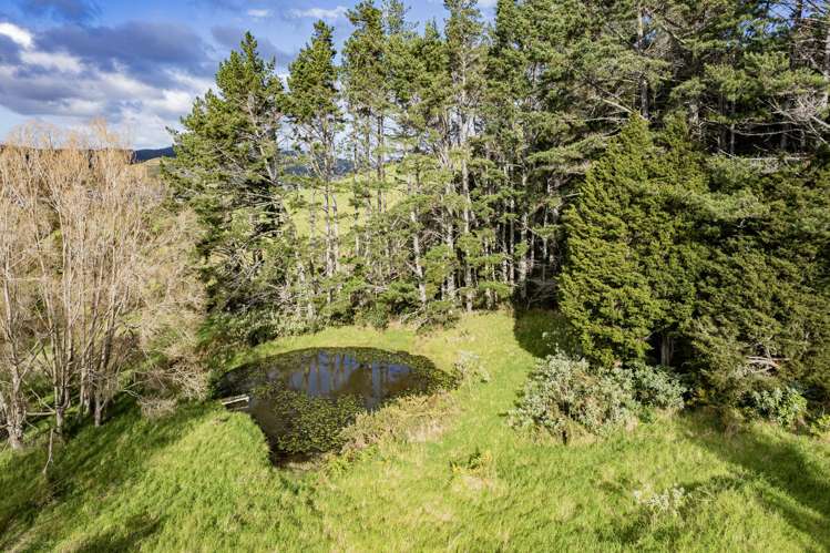 25 Mountain View Road Hikurangi_22