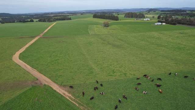 388 Matauri Bay Road Kaeo_3