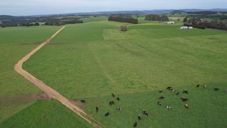 388 Matauri Bay Road Kaeo_3