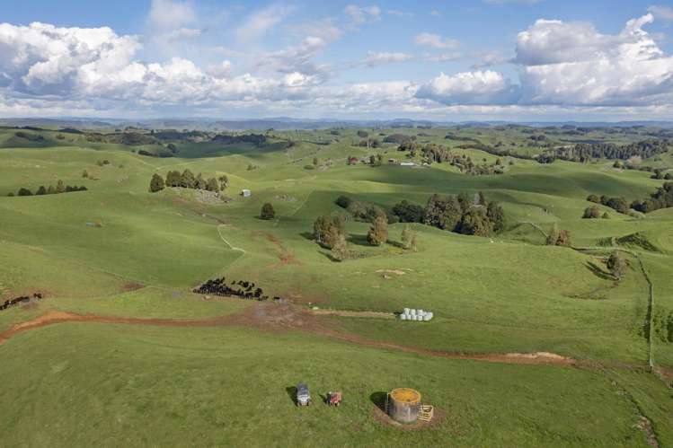 574 Mangaotaki Road Piopio_14