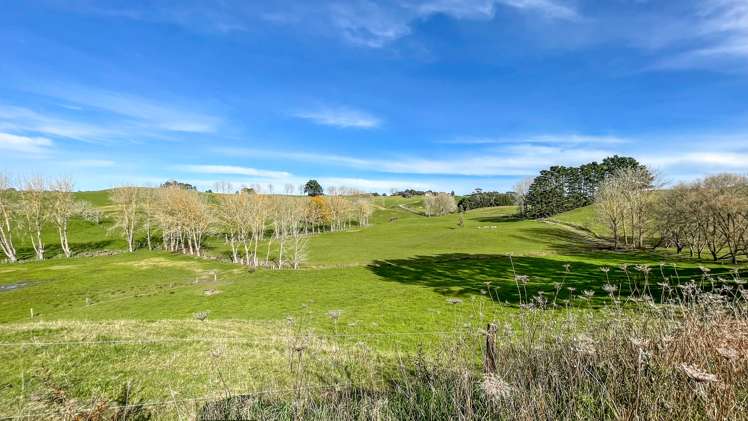 377 Bain Road Ruawaro_19