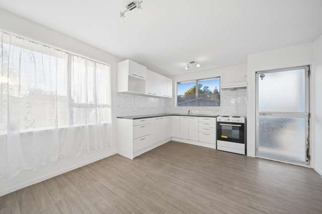 45 Moncrieff Avenue Clendon Park_3