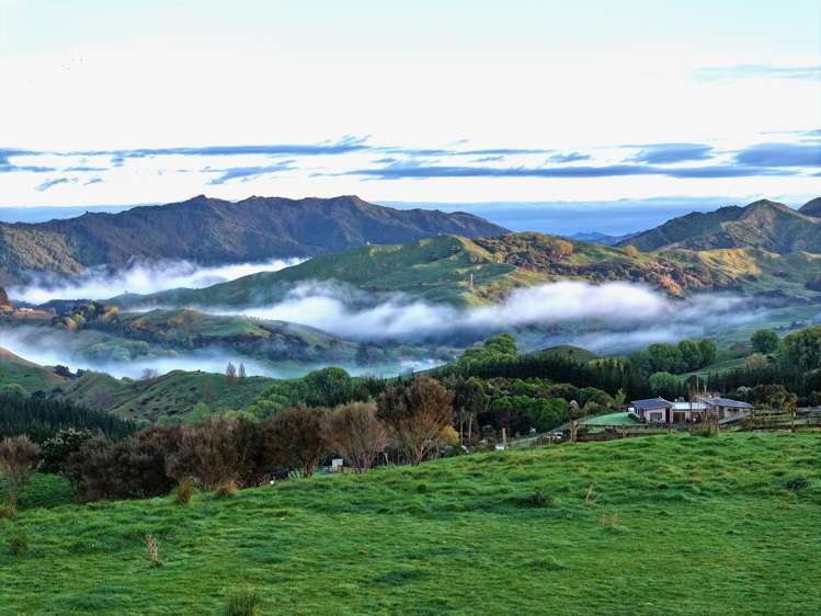 Lot 6 DP 409779 Gaddums Hill Road Outer Kaiti_7