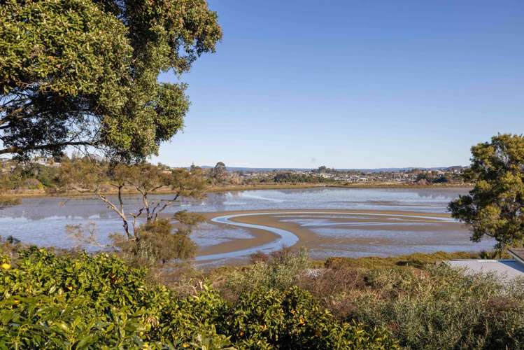 16 Sunny Bay Road Matua_10