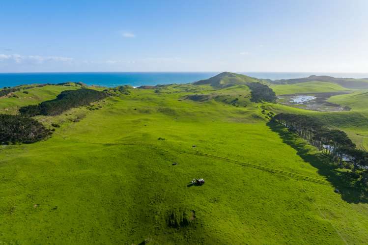 386 Rehutai Road Dargaville Surrounds_14