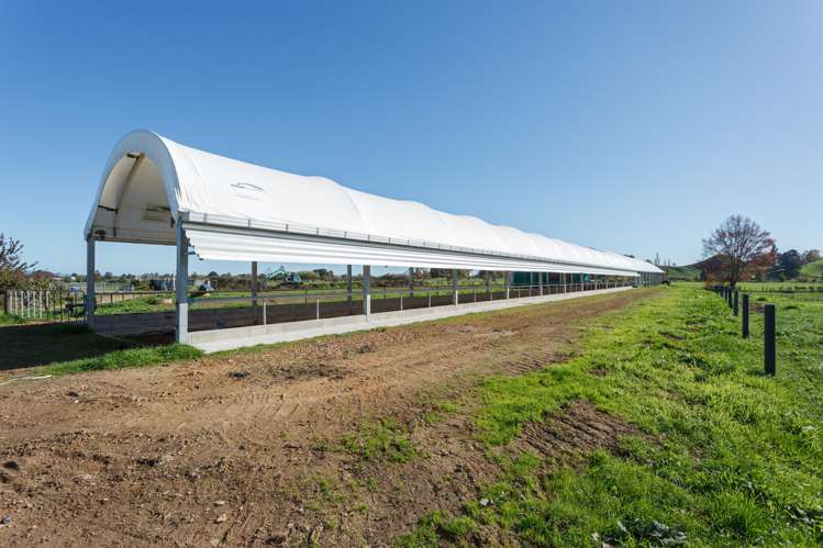 133 Flume Road Te Miro_17