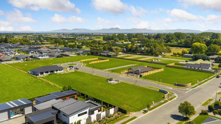 Carlisle Estate Tinwald_23