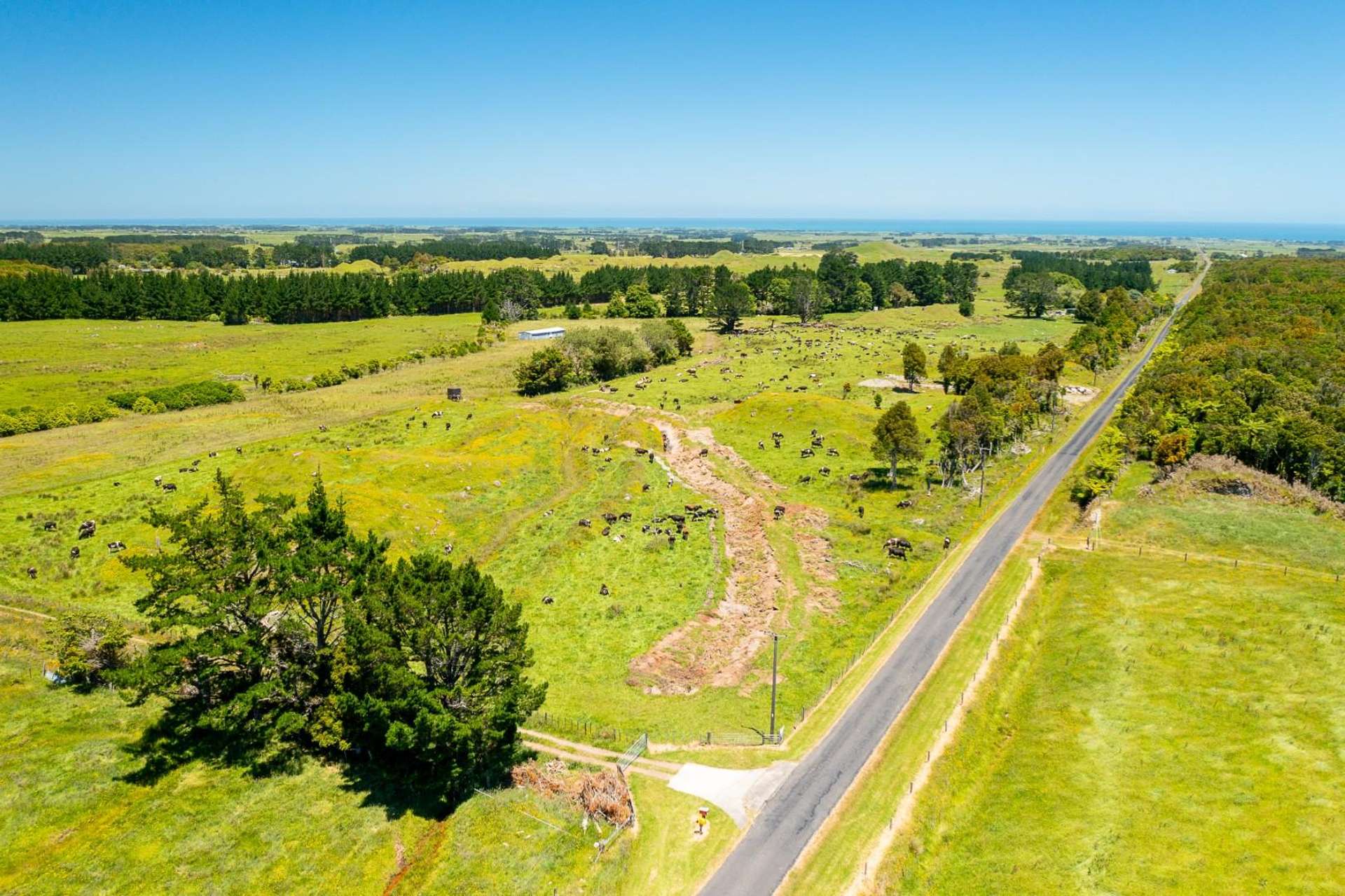 845 Kaweora Road Te Kiri_0