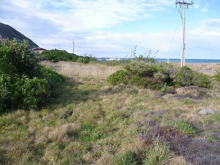 1 Mangatoetoe Grove Cape Palliser_5
