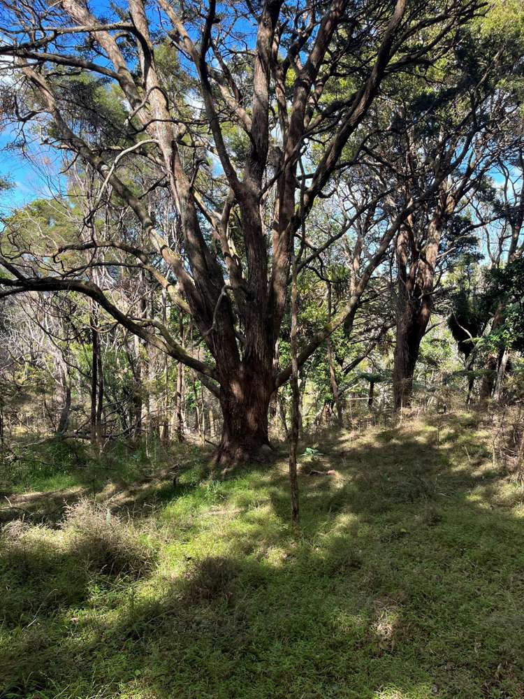 125a Linton Road Maungaturoto_14