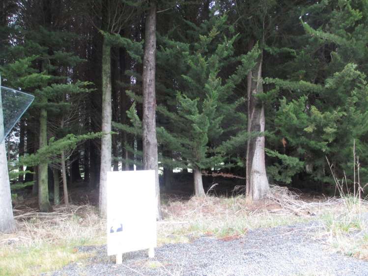 Owaka Valley Road Owaka_8