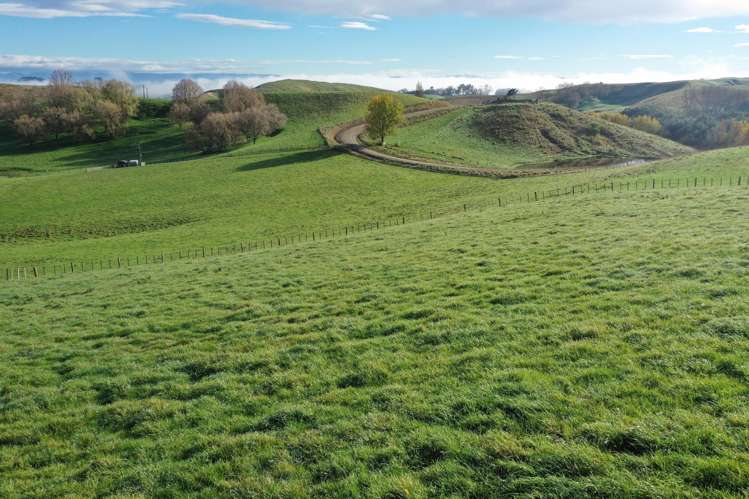 223 and 224 Peacock Road Waipukurau_6