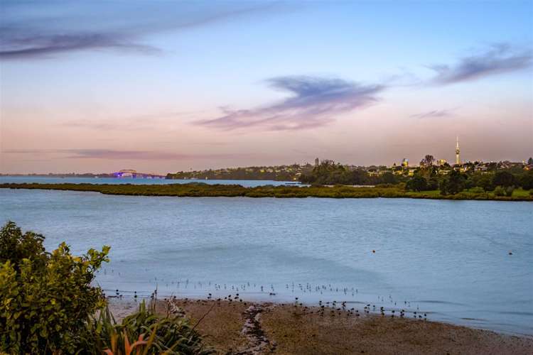 37 Johnstone Street Point Chevalier_20