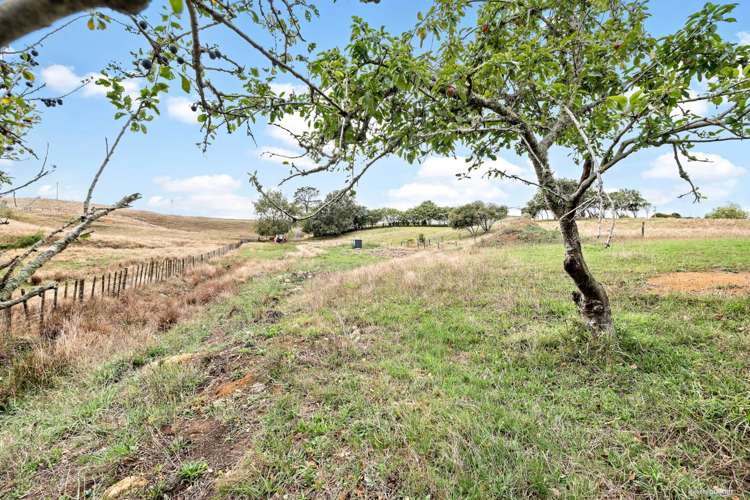 38a Native Road Pukekawa_23