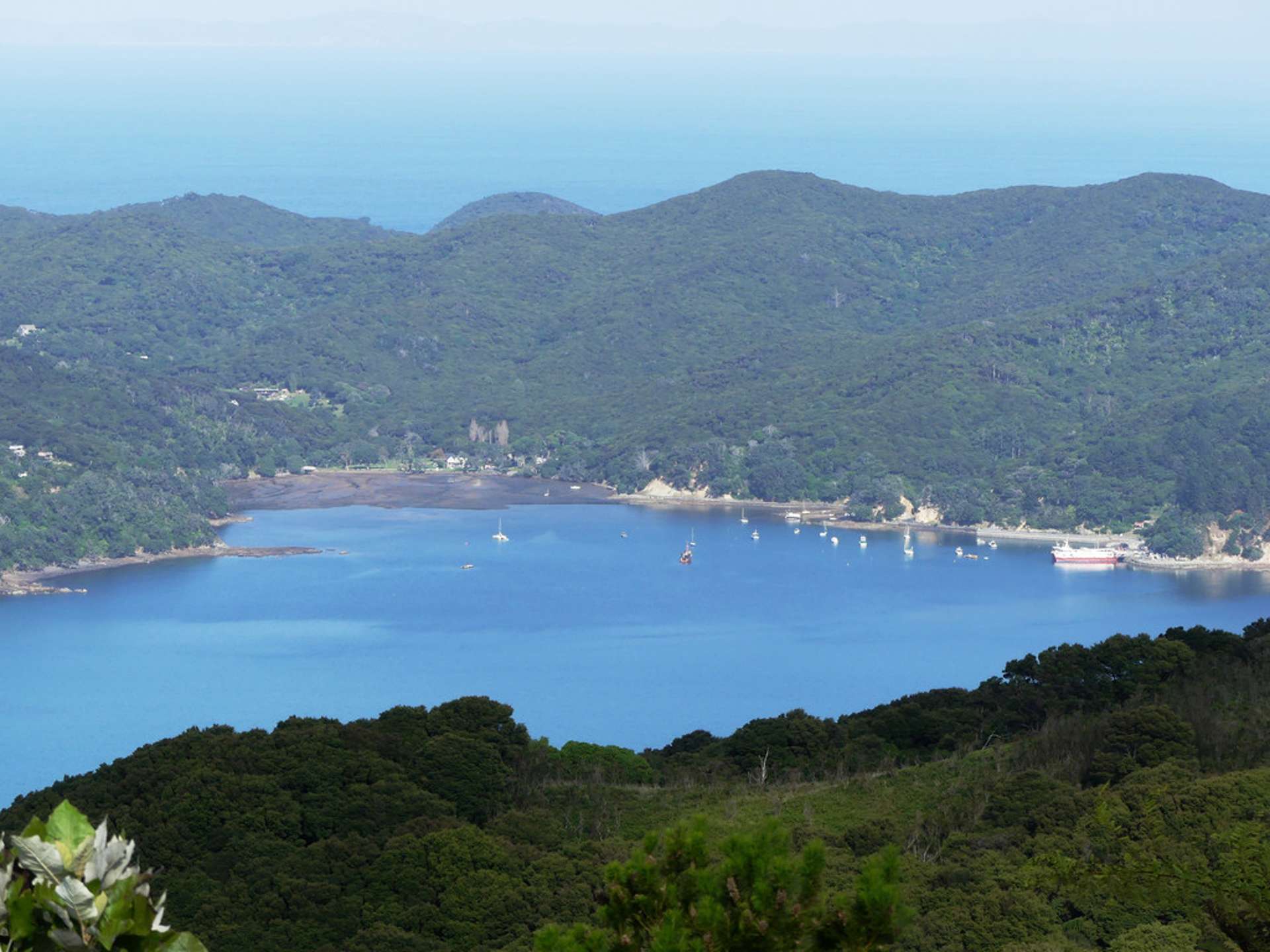 230 Schooner Bay Road Great Barrier Island (Aotea Island)_0