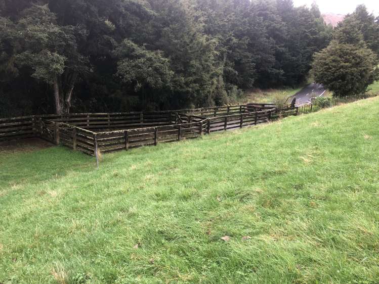 855 Okahukura Saddle Road Waimiha-Ongarue_11