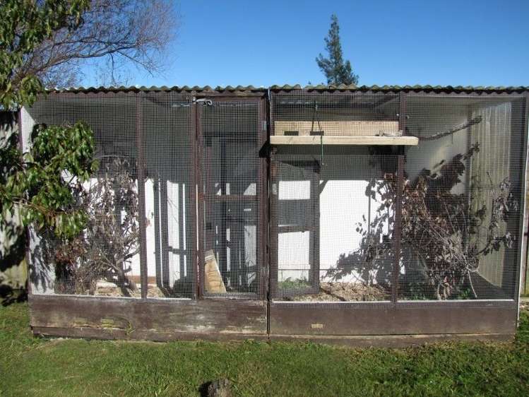 119 Lowe Avenue Thames_26