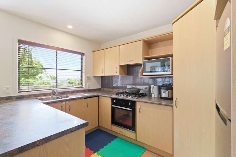 26 Elliott Street Johnsonville_6