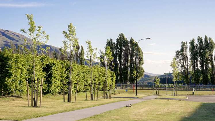 6 Berry Farm Drive, Orchard Park, Wanaka_4