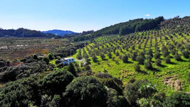 105 Frantoio Ridge Road Mangonui_2