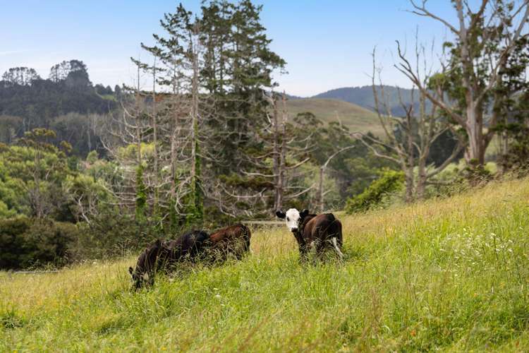 40 Silver Hill Road_5