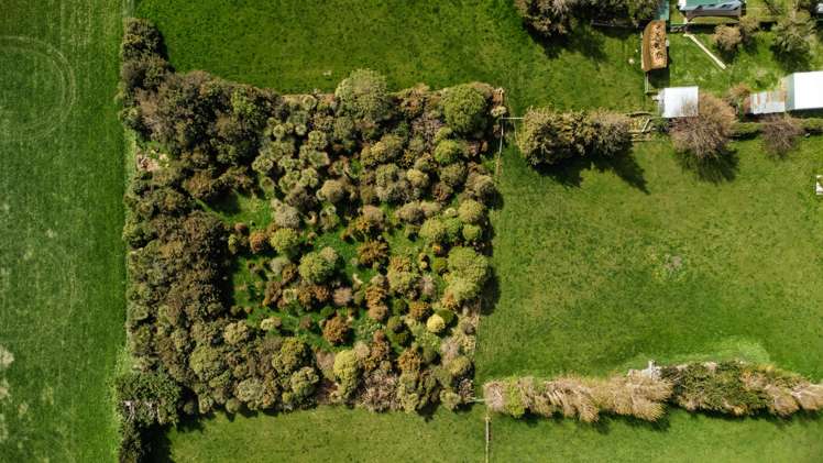 37 North Branch Road Milton_48