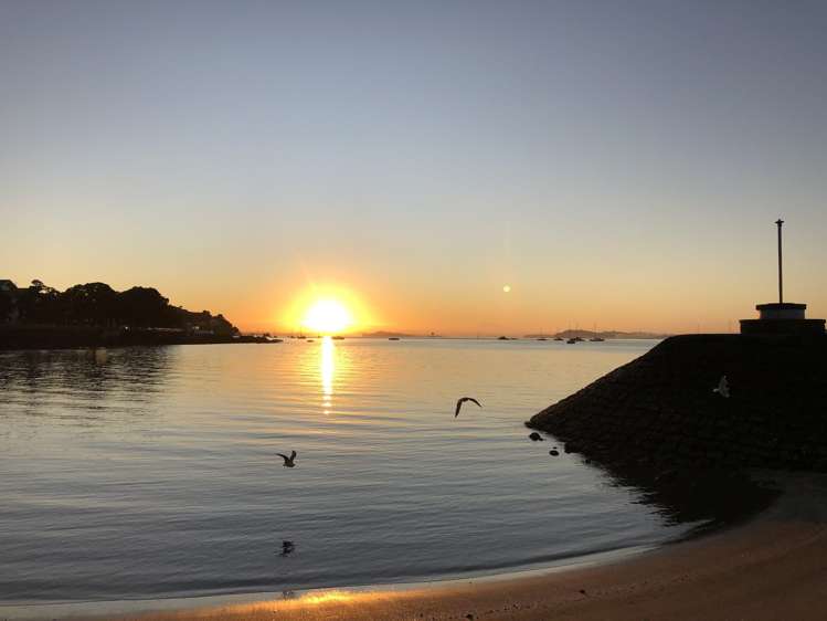 62 Calliope Road Stanley Point_22