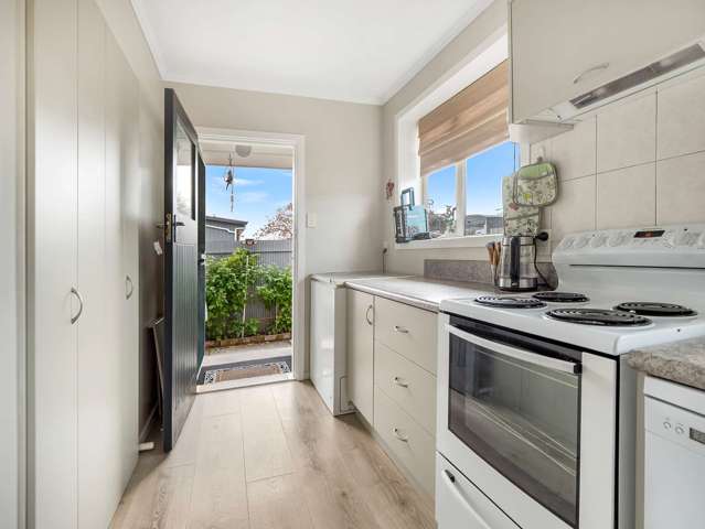 18 Rapley Street Ashburton_3