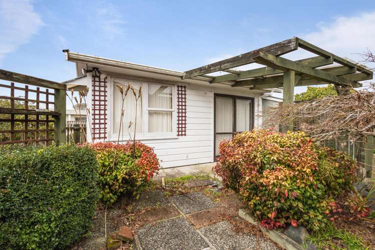 38 Ruru Crescent Putaruru_2