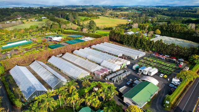 Thriving Nursery Business - Kerikeri