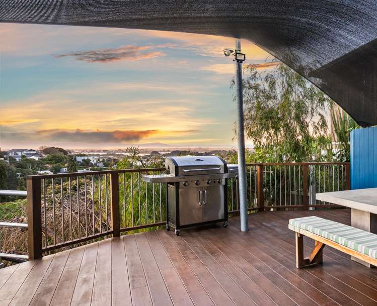 53 Soleares Avenue Mount Pleasant_9
