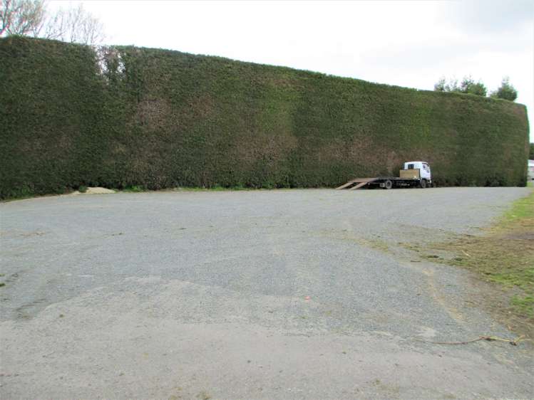 162 Waimea Drive Te Puke_11