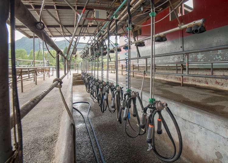 660 Matiri Valley Road Kahurangi National Park_7