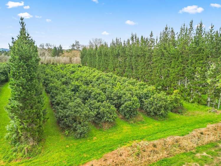 4784 State Highway 12 Kaikohe_26