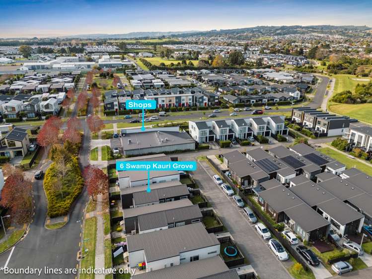 6 Swamp Kauri Grove Papakura_12