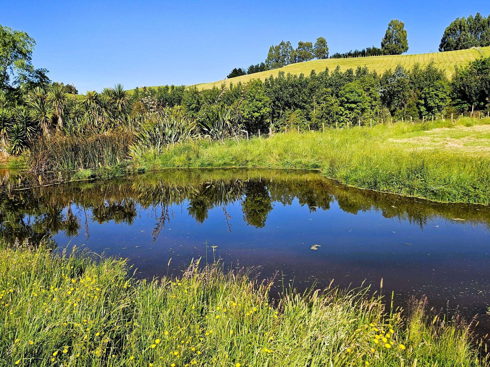 143C Smith Road Dannevirke_0