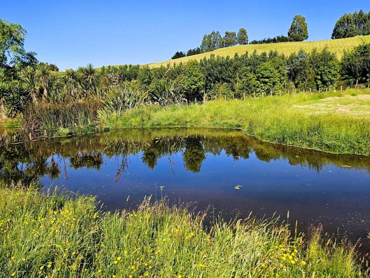 143C Smith Road Dannevirke_0