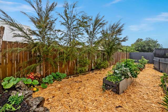25 Meadow Park Crescent Tikipunga_1