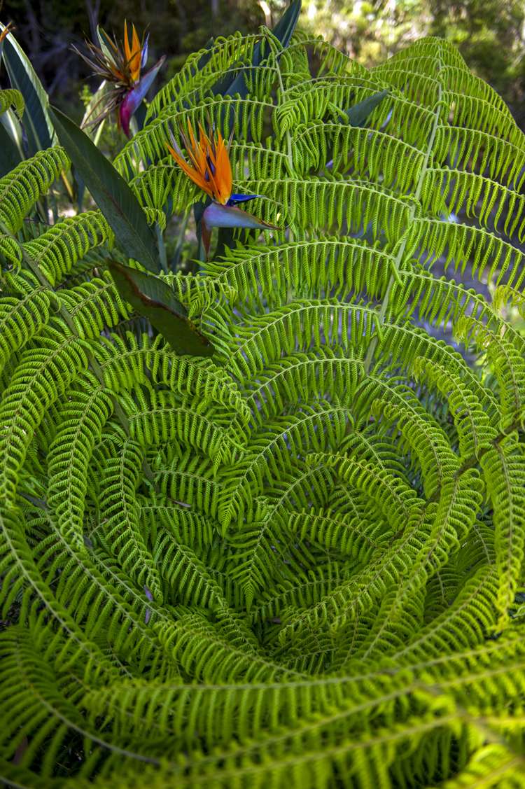 168 Orchard Road Hahei_7