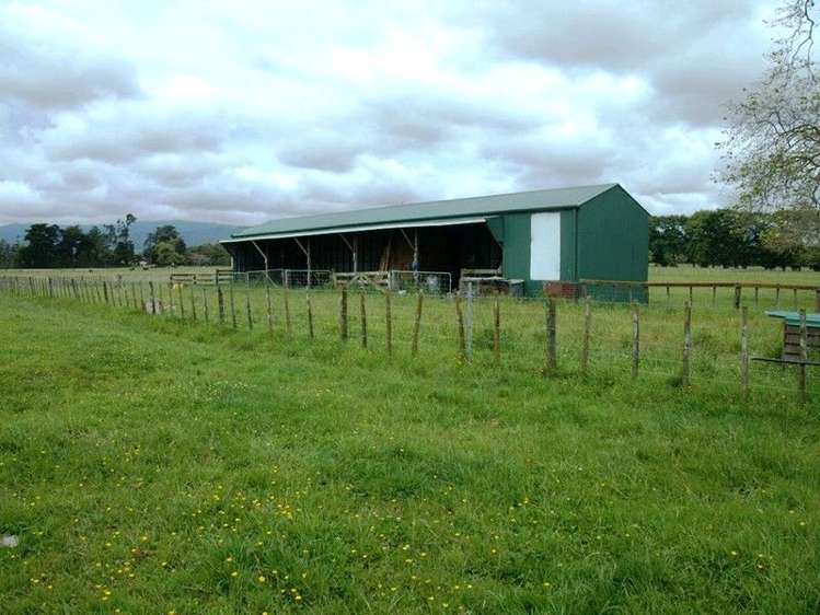 30 Kimberley Road Levin_5