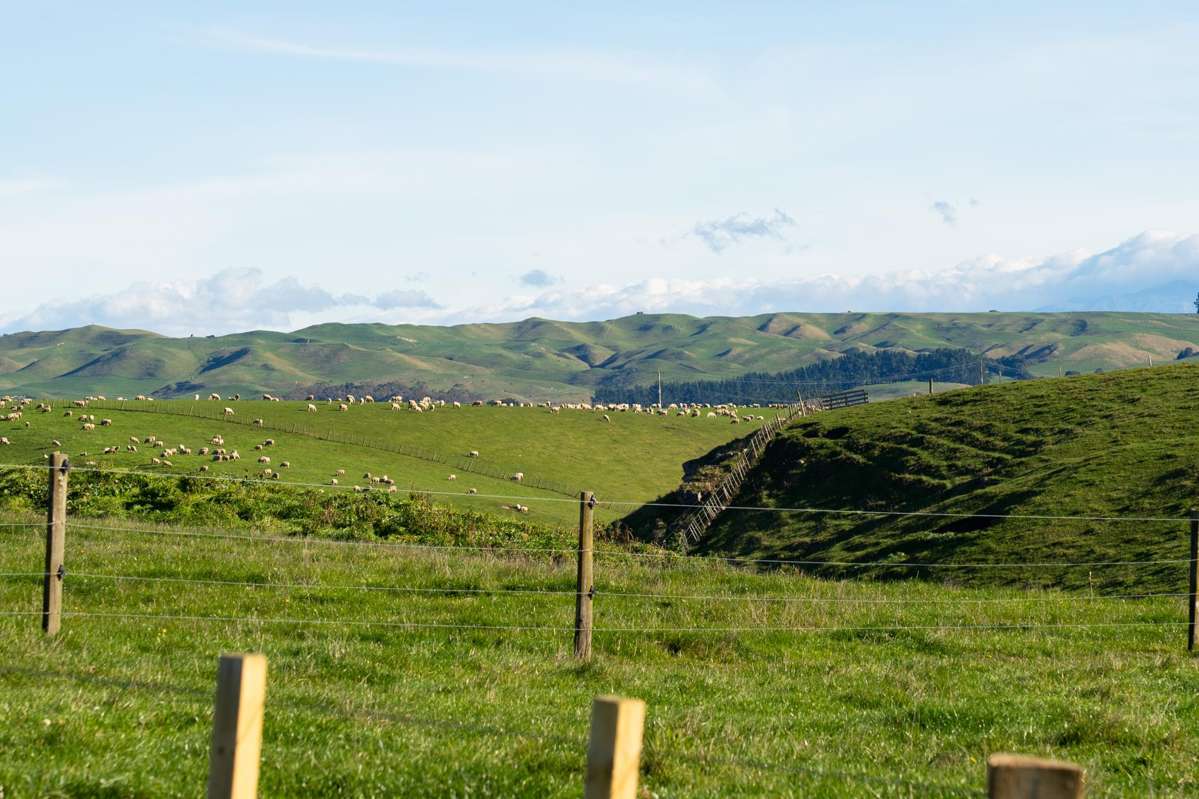 Lot 2, 876 Whakapirau Road_4