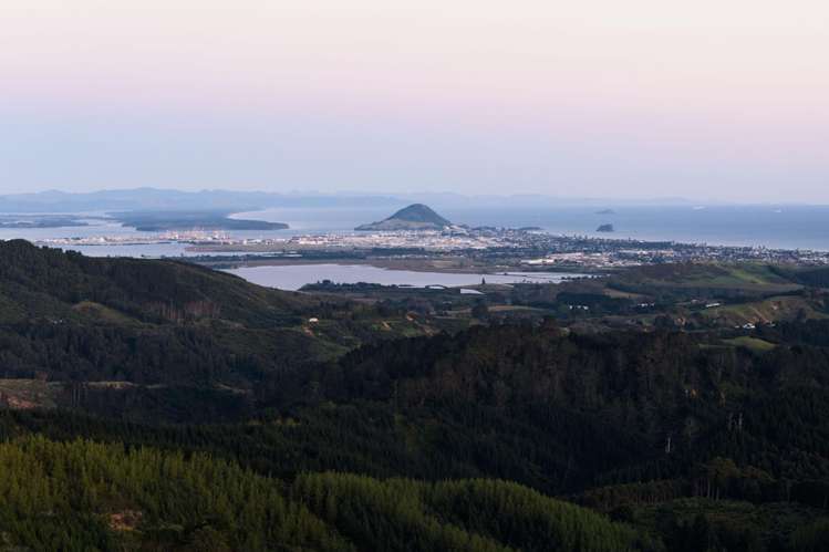 5 Chestnut Lane Papamoa_28