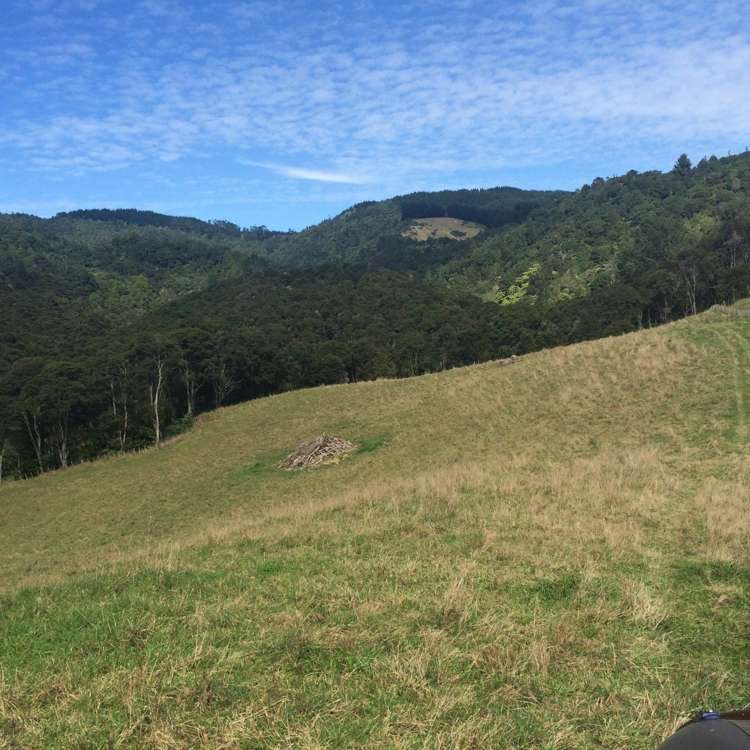 47 Moumoukai Hill Road Ness Valley_12