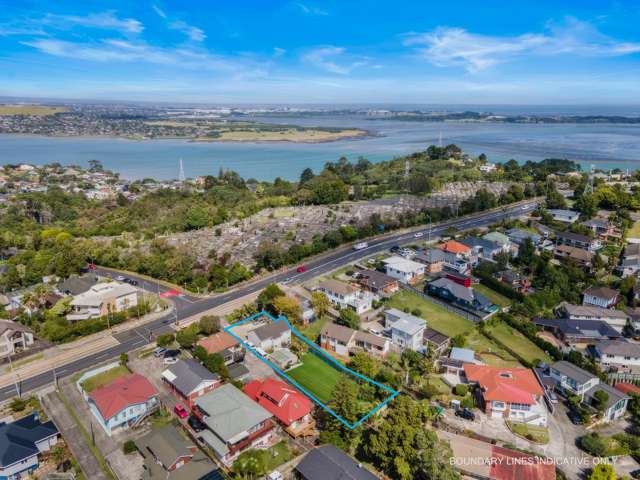 255 Hillsborough Road Mount Roskill_1