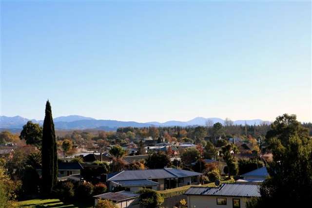 2/9 Shere Street Pleasant Point_1