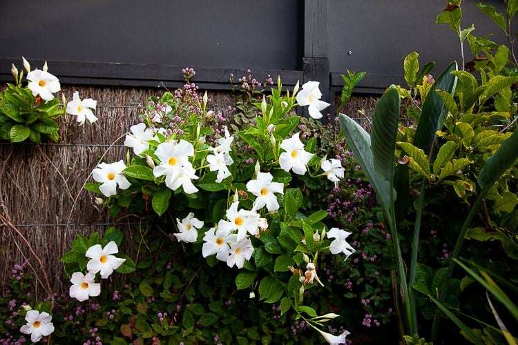 2/246 Lake Road Hauraki_15