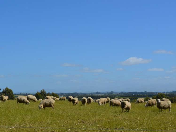 485 Nine Mile Road Riversdale_10