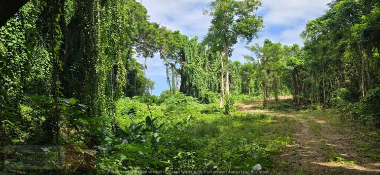 Address withheld Savusavu_27