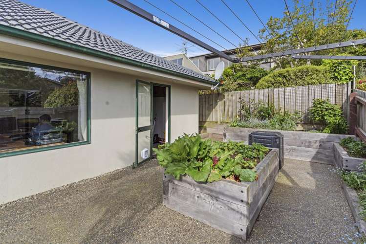 29B Butler Street Maori Hill_21